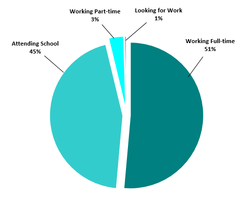 51% working full-time, 45% attending school, 3% working part time, 1% looking for work 