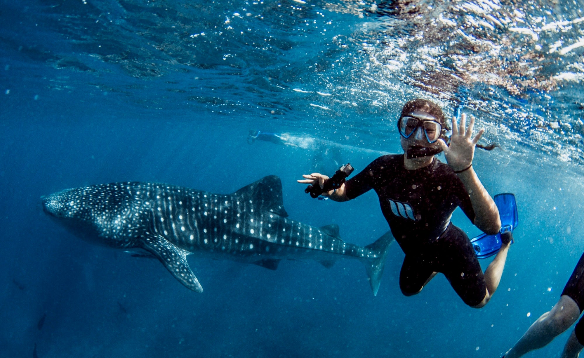 Cyanne snorkeling in the sea with a whale shark.