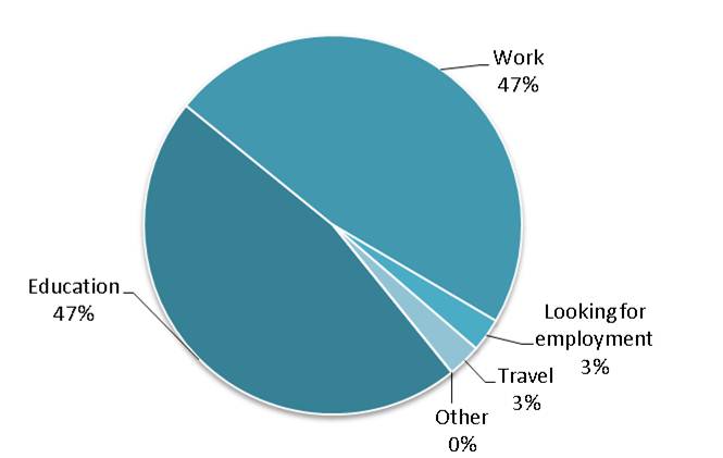 pie chart showing pursuits of Kinesiology grads one year after graduation