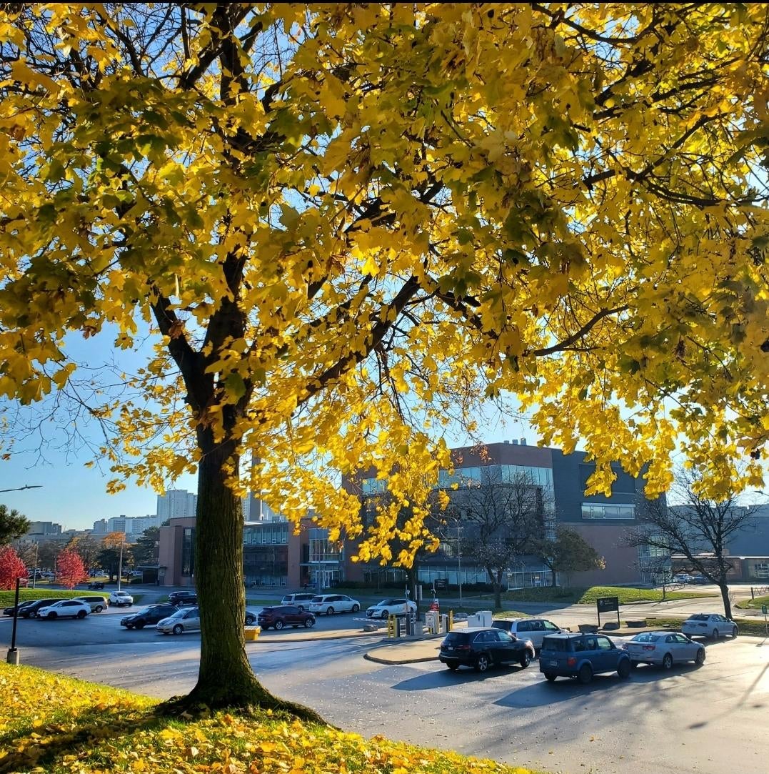 Parking lot by Health Expansion building