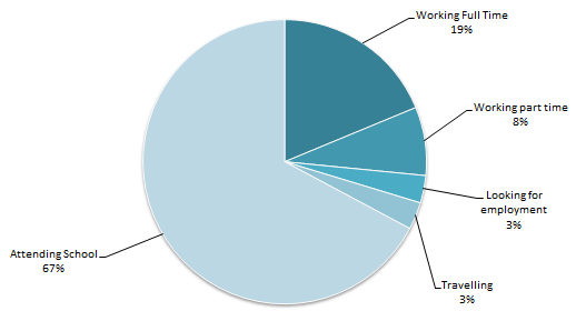 Pie chart showing Kinesiology Class of 2012 pursuits after graduation. Details in text following the chart.