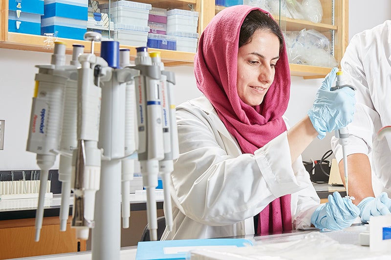 Female student wearing hijab, lab coat and gloves uses a pipette in lab.