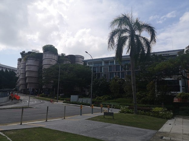 My host institution, Nanyang Technological University! On the left is the iconic Hive, with its funky design, tutorial rooms, and lush greenery.