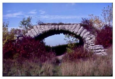 Ruined and neglected stone bridge covered in weed growth