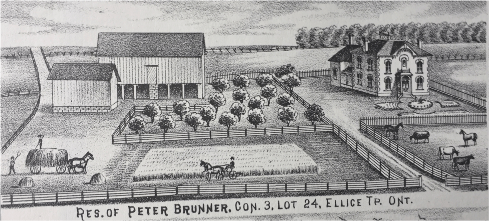 A sketch of a farm
