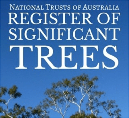 An image of tree tops and sky with the words "National Trusts of Australia Register of Significant Trees"