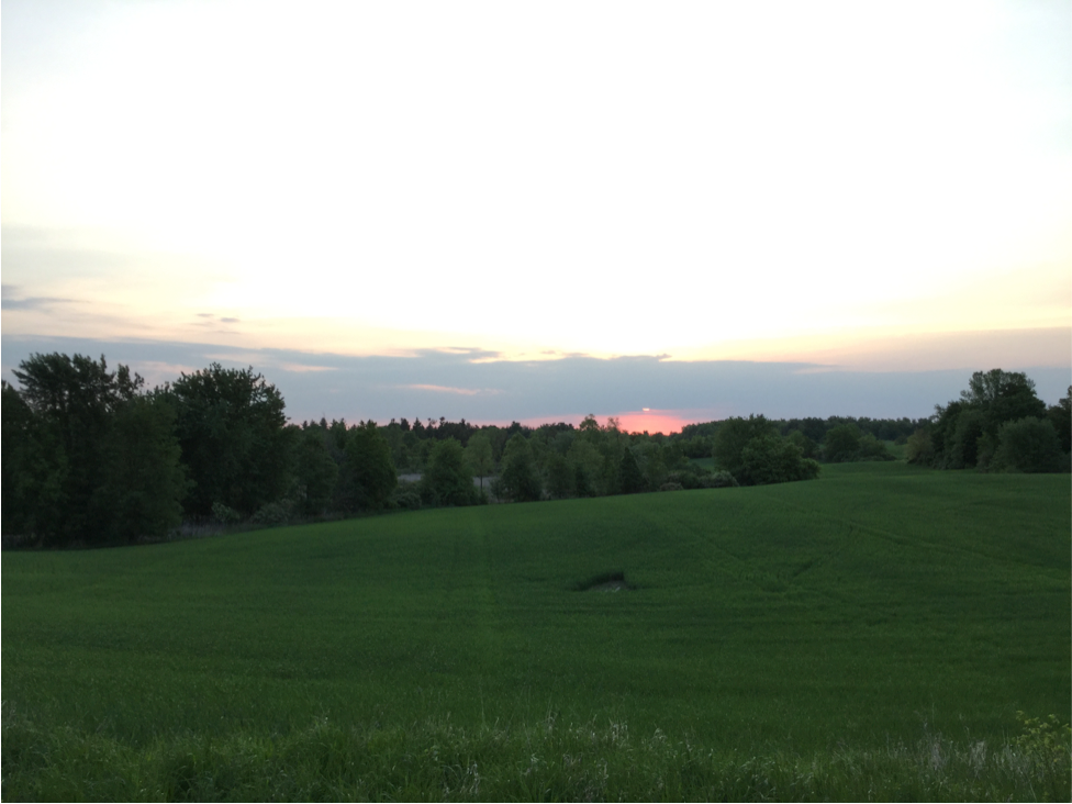 a field with the sun setting