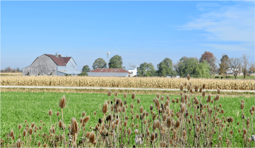 An image of a farm and field