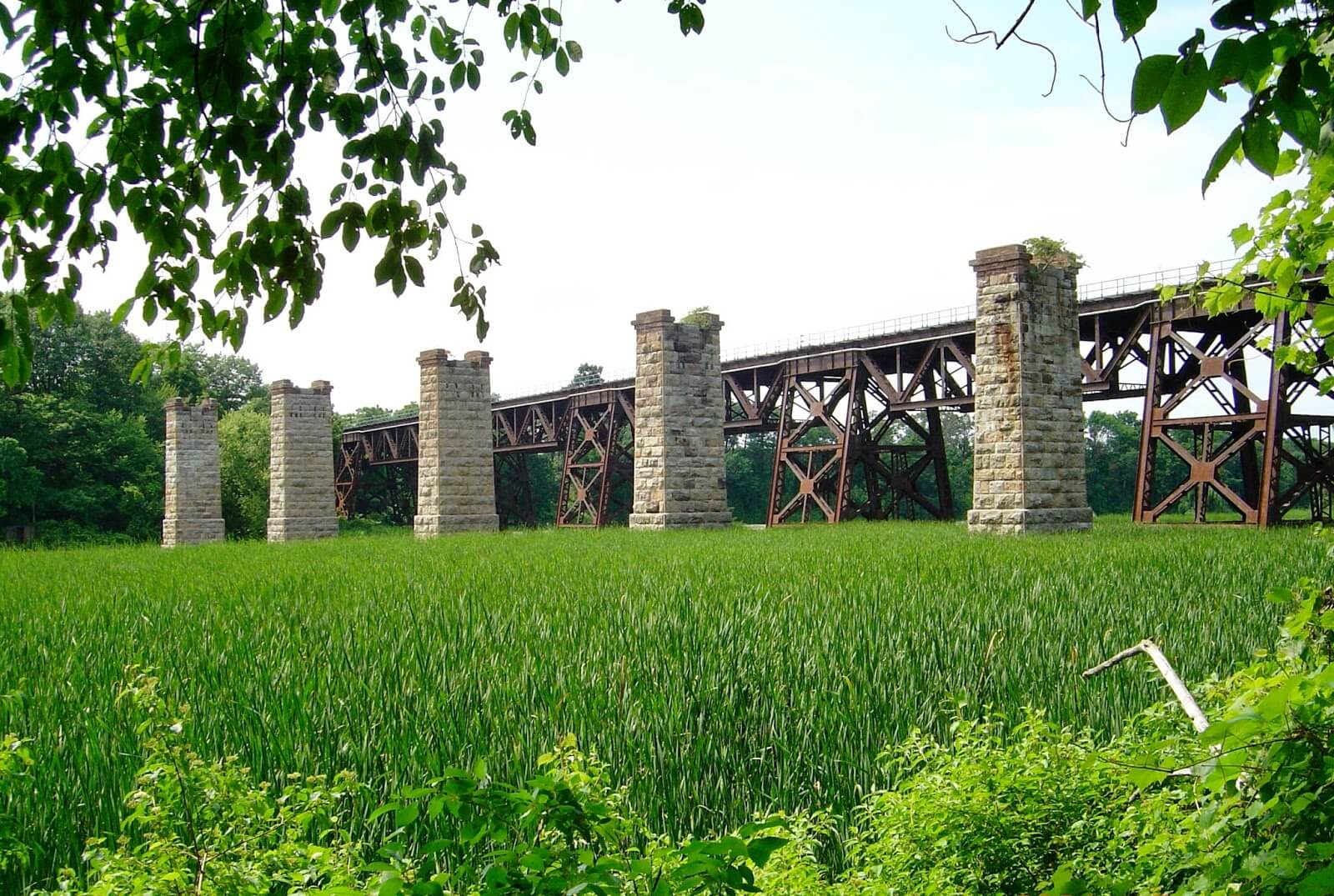 Neglected railway viaduct stone columns beside existing rail bridge surrounded by water vegetation