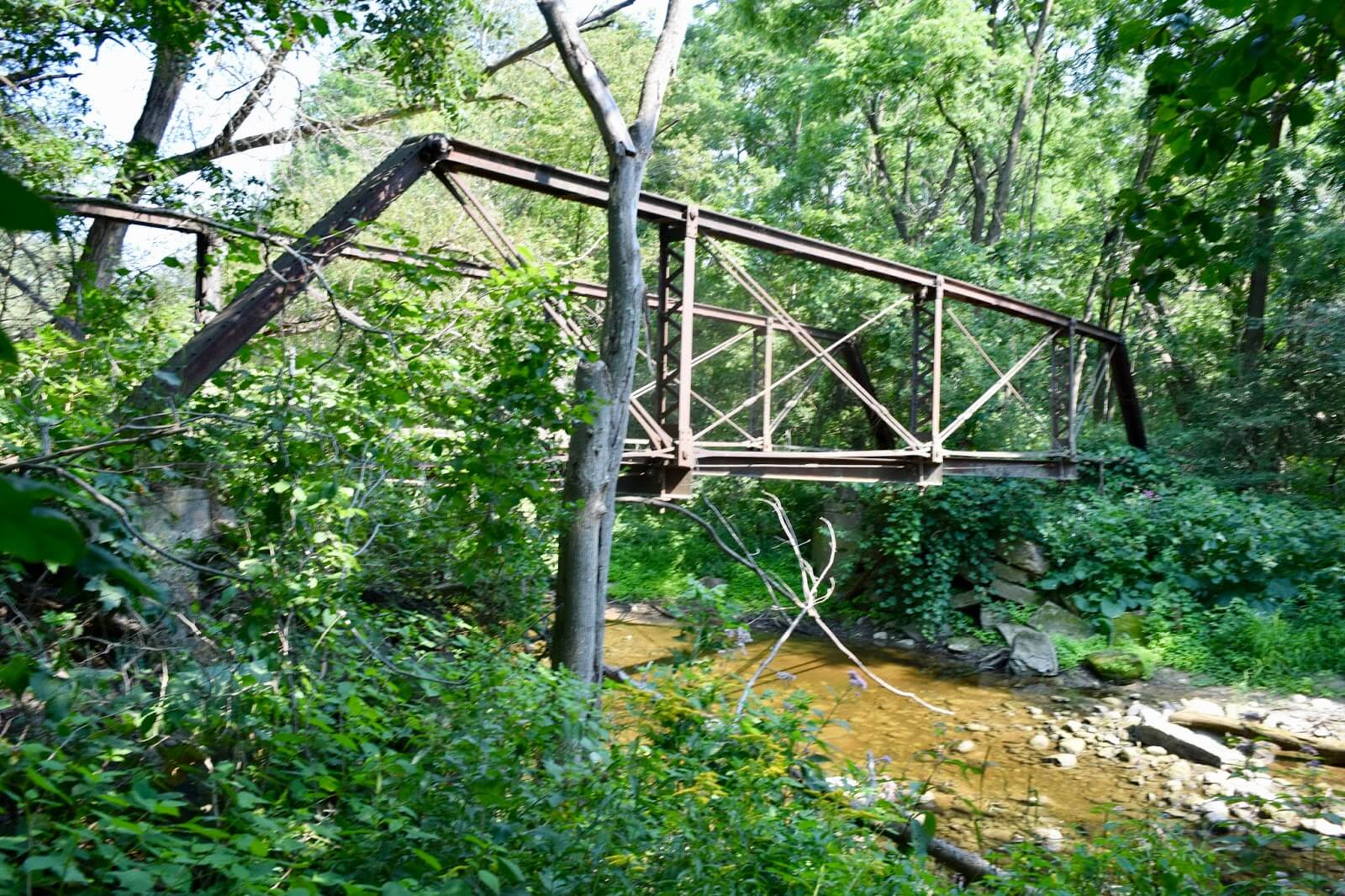 A truss bridge in a forest over a river