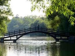 A person standing on a bridge looking at ducks in the water underneath