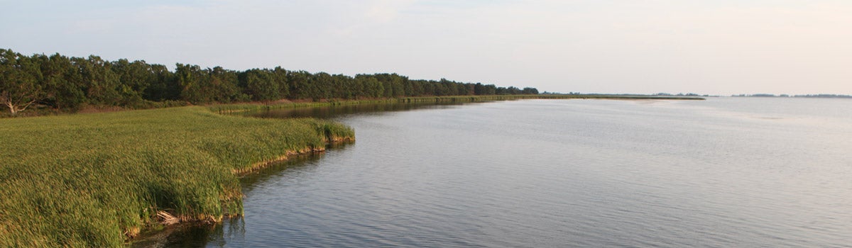 A panoramic view of the waterfront at Rondeau park