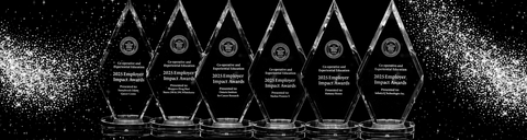 A compilation of the glass awards with silver glitter