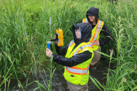 Two students taking samples on land during a co-op work term with GHD