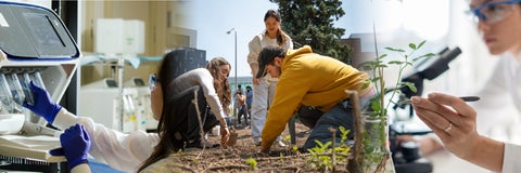 Environment and science Waterloo co-op students working in a laboratory and planting trees.