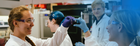 Student and employer working in a biology laboratory comparing their chemical solutions