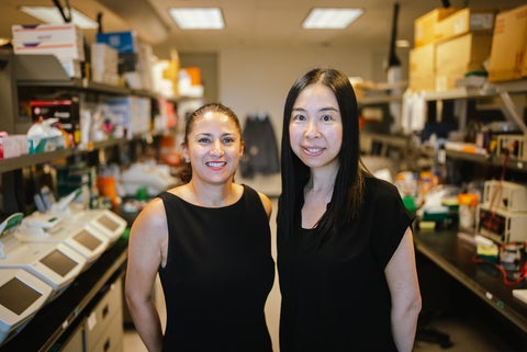  Dr. Eugenia Flores-Figueroa and Karen Ng in the Notta Lab at UHN