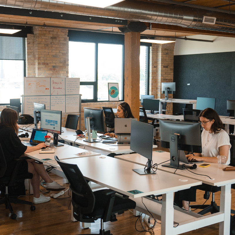 Three Loopio employees working at desktops