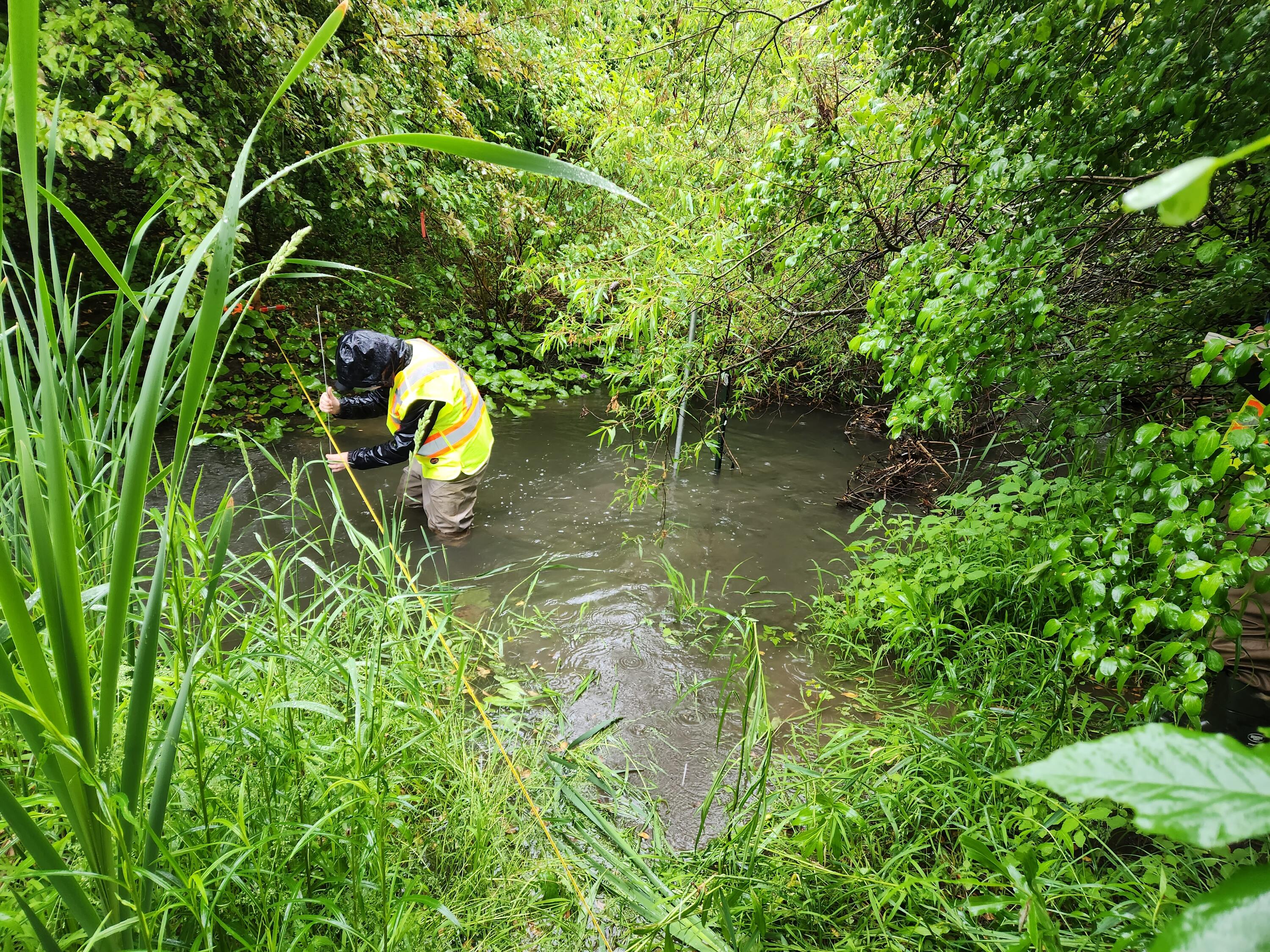 Co-op student in a yellow vest testing pond water