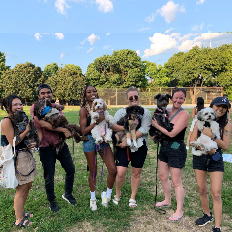 Group of Perpetua co-op students holding dogs outside