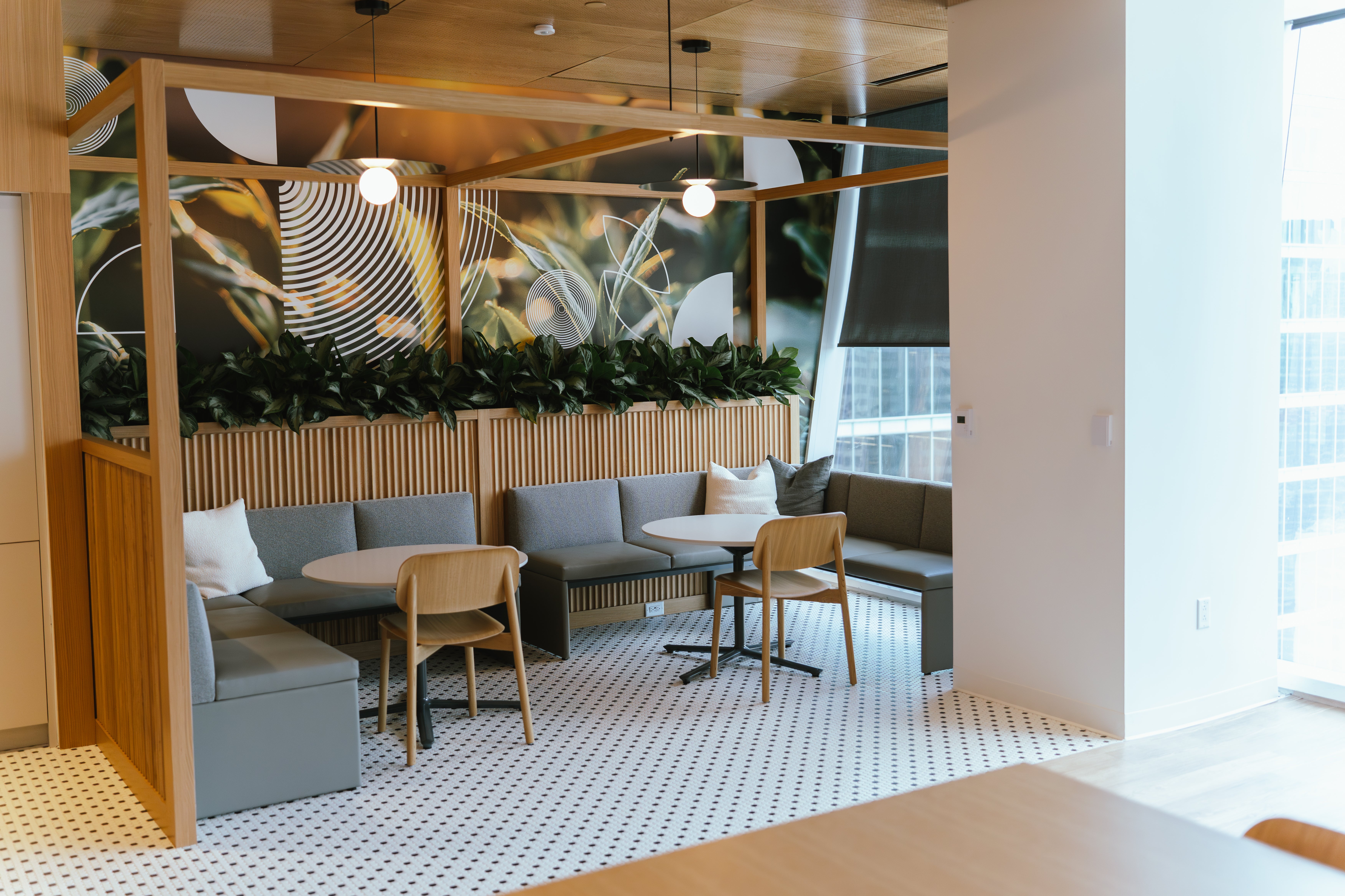 View of a lounge area in the office with a couch and plants behind it