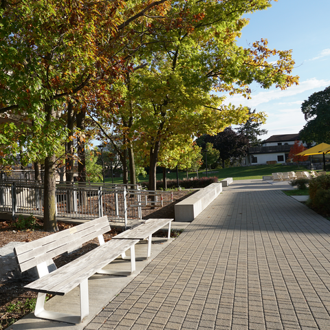 Walking path on UWaterloo campus