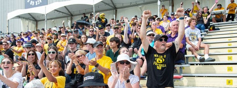 Crowd cheering at football game