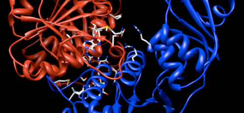 Artist rendition of a protein molecule.