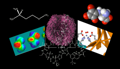 Composite image of various molecular structures.