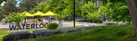 University of Waterloo sign in summer