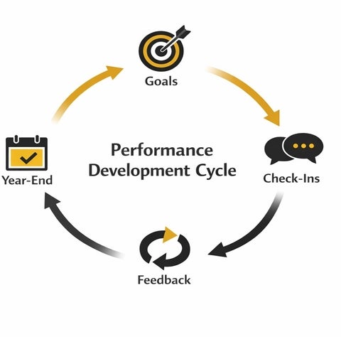 Performance Development Cycle