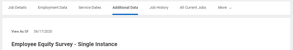 Additional Data Section of the workday profile 