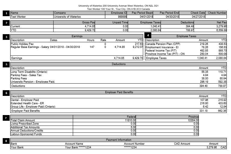 Example of a pay statement