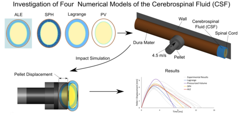 CSF Model