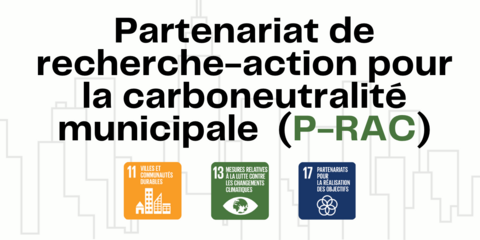 french version of the N-ZAP banner with SDGs and N-ZAP name.