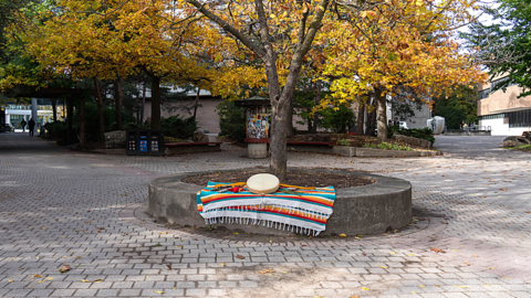 Indigenous items used for traditional ceremony and social gatherings, including a hand drum, tobacco, sage, sweet grass, cedar, smudge bowl, and feathered fan. 