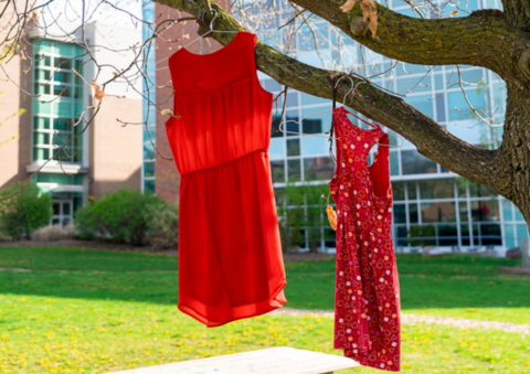 Two red dresses hanging from a tree limb
