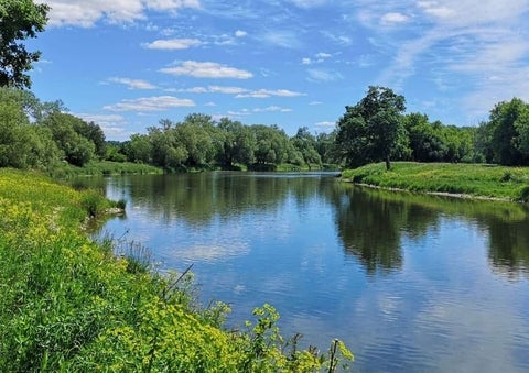 The Grand River in the summertime on a sunny day