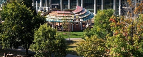 a colourful outdoor structure surrounded by trees