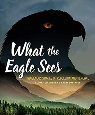 What the Eagle Sees book cover
