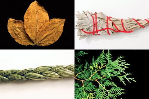 Tobacco, sage, cedar, and cedar