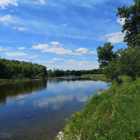 The Grand River on a sunny summer day