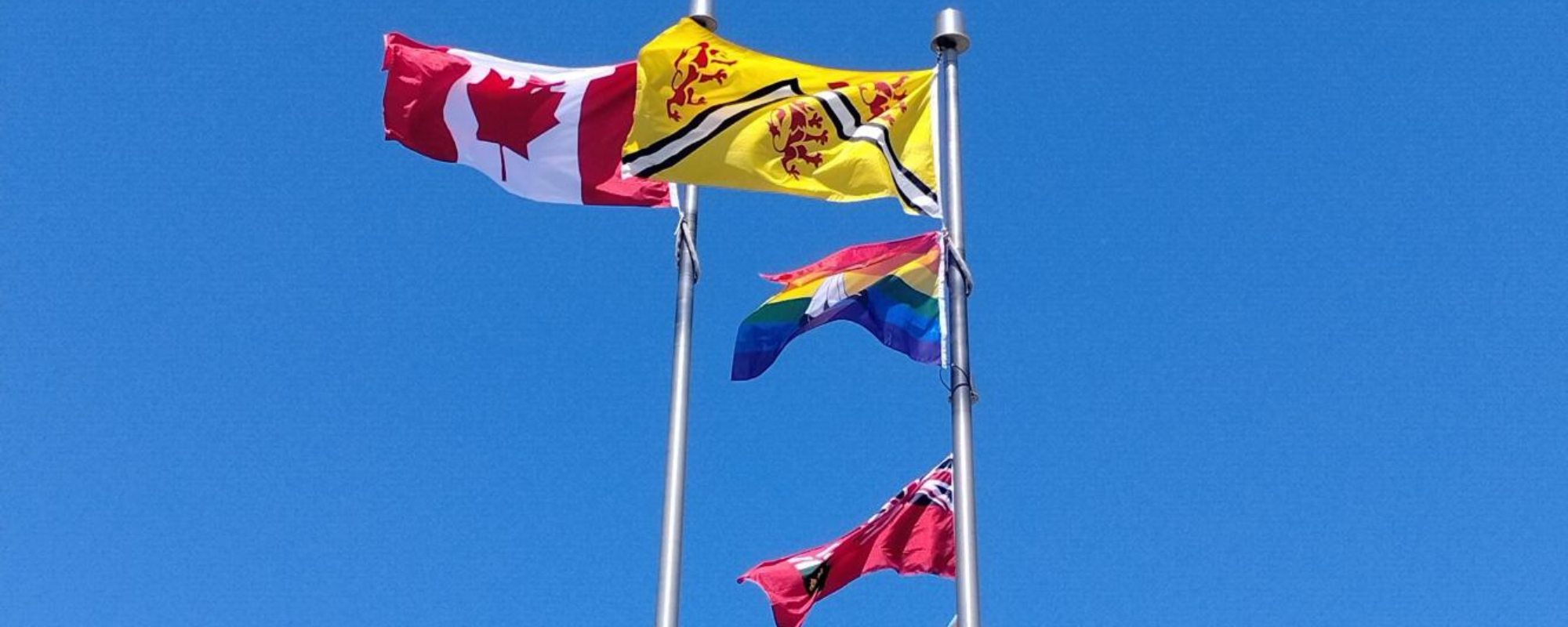 flags