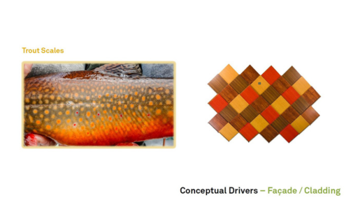 two side by side images: close up of a trout and scales and tiles reflecting the colours and patterns