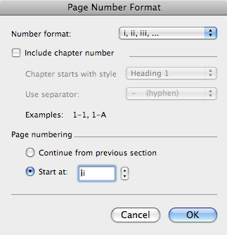 page number format options box