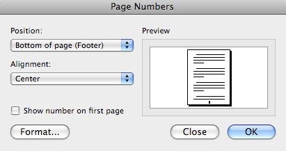 page number options box