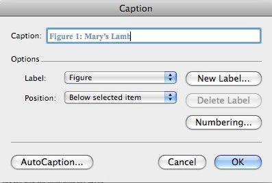 Figure caption option box