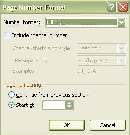 Page number option box
