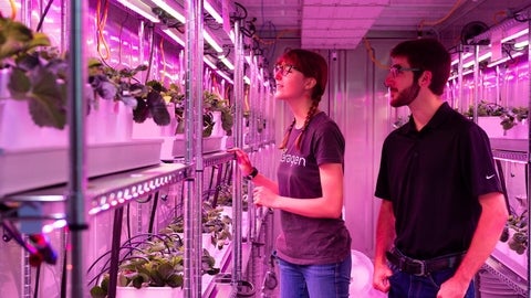 Two people observing plants growing on large shelves