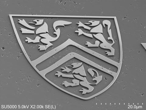 Electron microscope image about 50 micrometers wide showing a close up of the University of Waterloo crest etched into a diamond surface. 